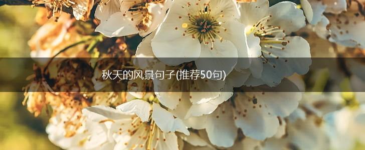 秋天的风景句子(推荐50句),第1张