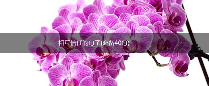 相互信任的句子(必备40句),第1张