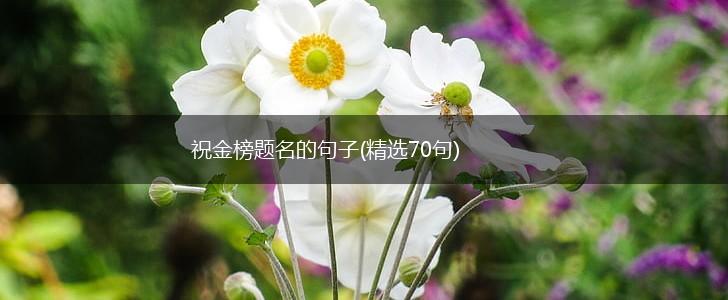 祝金榜题名的句子(精选70句),第1张