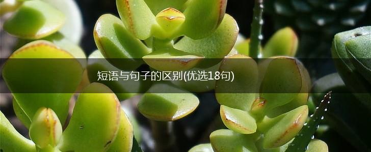 短语与句子的区别(优选18句),第1张