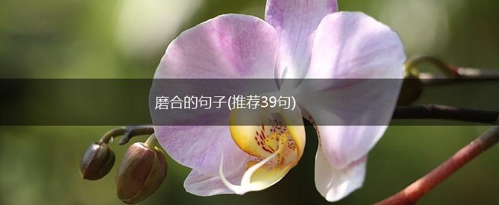 磨合的句子(推荐39句),第1张