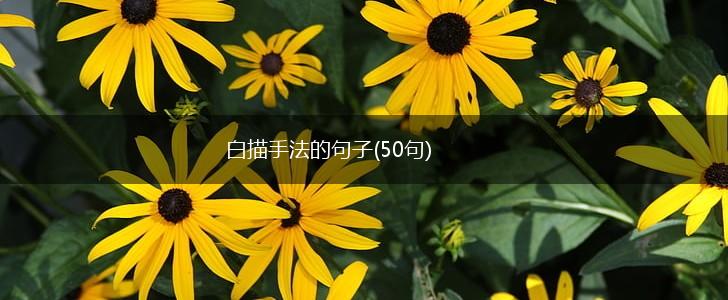 白描手法的句子(50句),第1张