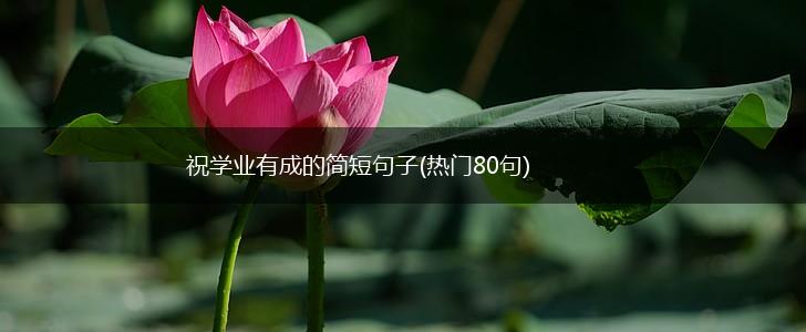 祝学业有成的简短句子(热门80句),第1张