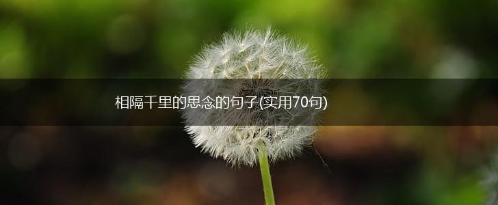 相隔千里的思念的句子(实用70句),第1张