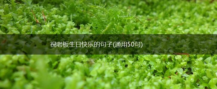 祝老板生日快乐的句子(通用50句),第1张