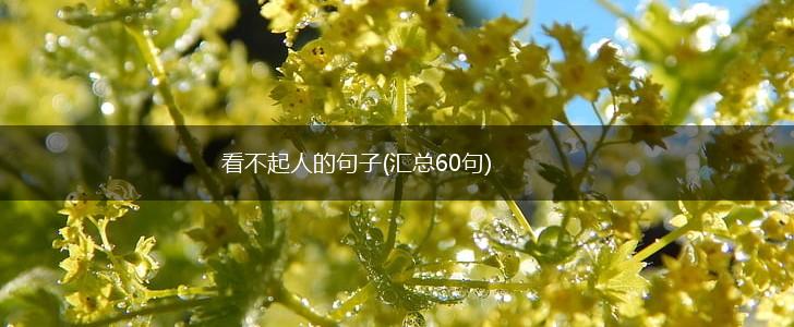 看不起人的句子(汇总60句),第1张