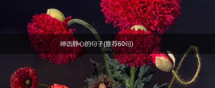 禅语静心的句子(推荐60句),第1张