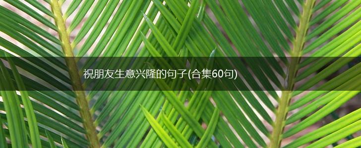 祝朋友生意兴隆的句子(合集60句),第1张