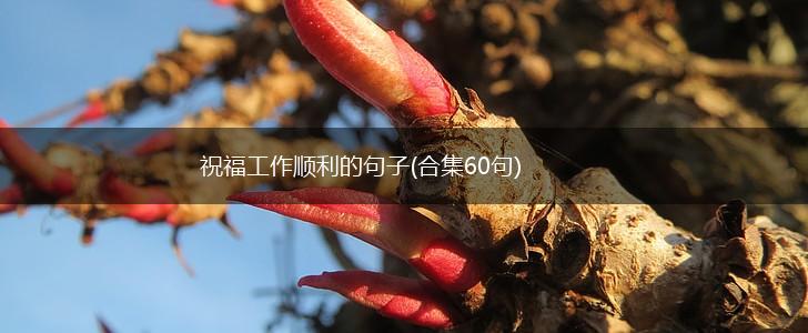 祝福工作顺利的句子(合集60句),第1张