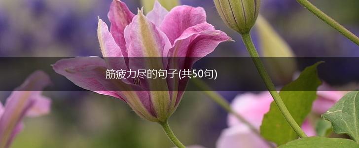 筋疲力尽的句子(共50句),第1张