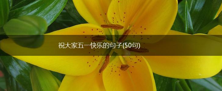 祝大家五一快乐的句子(50句),第1张