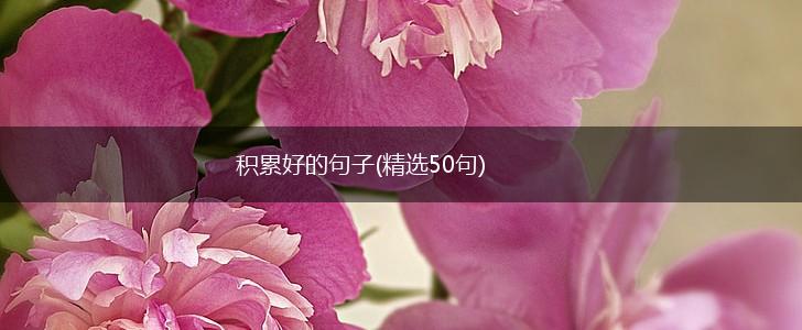 积累好的句子(精选50句),第1张