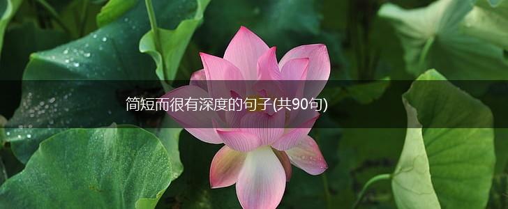 简短而很有深度的句子(共90句),第1张