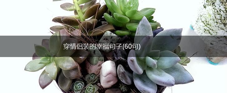 穿情侣装的幸福句子(60句),第1张