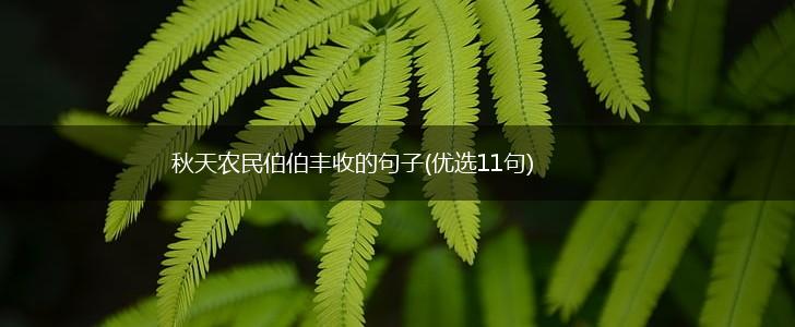 秋天农民伯伯丰收的句子(优选11句),第1张