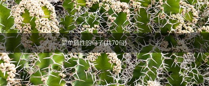 简单随性的句子(共70句),第1张