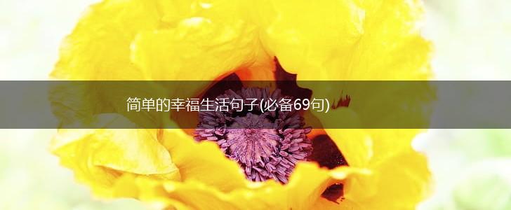 简单的幸福生活句子(必备69句),第1张