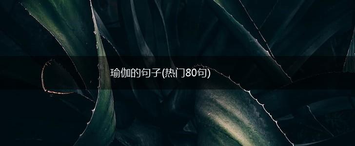 瑜伽的句子(热门80句),第1张