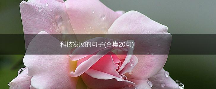 科技发展的句子(合集20句),第1张