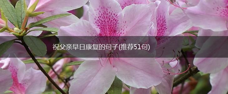 祝父亲早日康复的句子(推荐51句),第1张