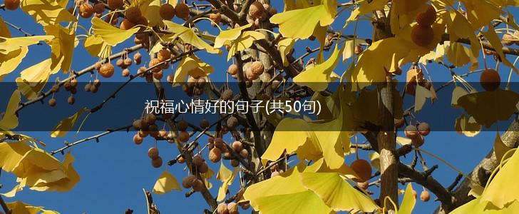 祝福心情好的句子(共50句),第1张