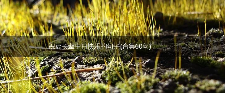祝福长辈生日快乐的句子(合集60句),第1张
