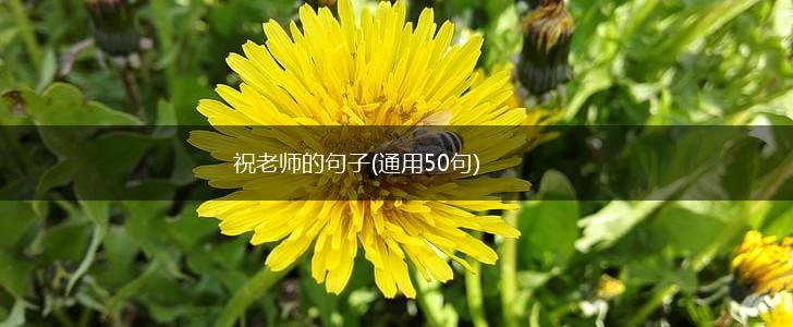 祝老师的句子(通用50句),第1张
