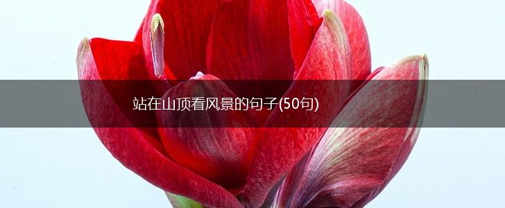 站在山顶看风景的句子(50句),第1张