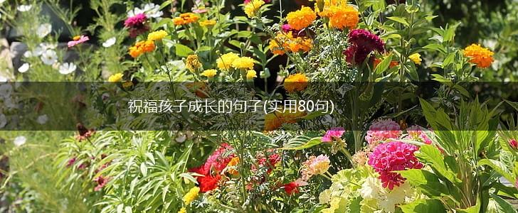 祝福孩子成长的句子(实用80句),第1张
