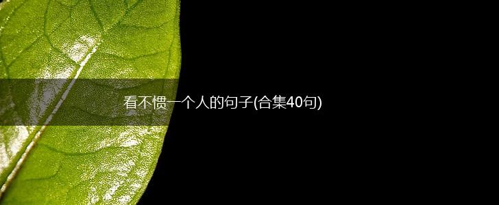看不惯一个人的句子(合集40句),第1张