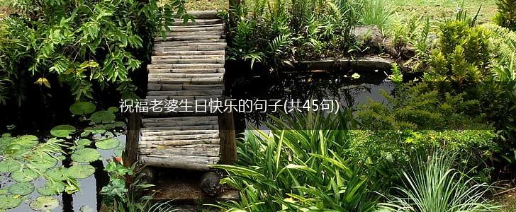 祝福老婆生日快乐的句子(共45句),第1张