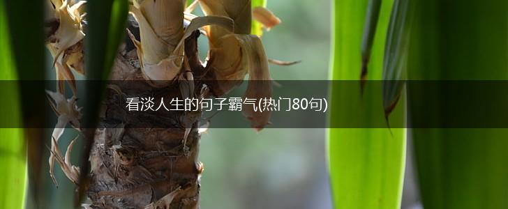 看淡人生的句子霸气(热门80句),第1张