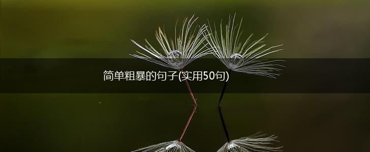 简单粗暴的句子(实用50句),第1张
