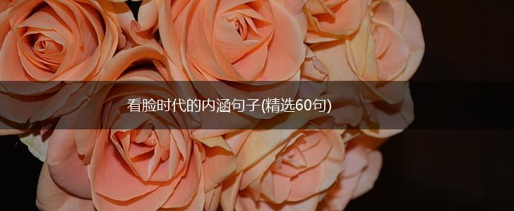 看脸时代的内涵句子(精选60句),第1张