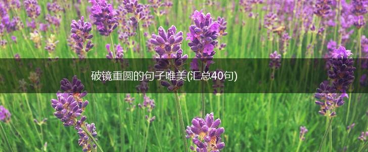 破镜重圆的句子唯美(汇总40句),第1张