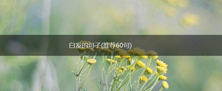 白发的句子(推荐60句),第1张