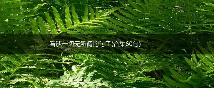 看淡一切无所谓的句子(合集60句),第1张
