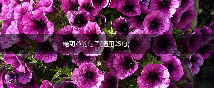 糖葫芦的句子(通用25句),第1张