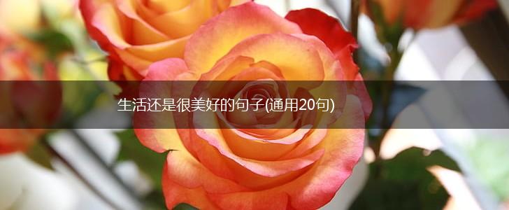 生活还是很美好的句子(通用20句),第1张