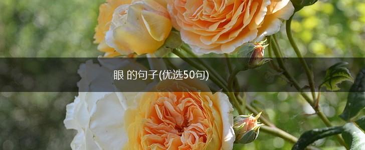 眼 的句子(优选50句),第1张