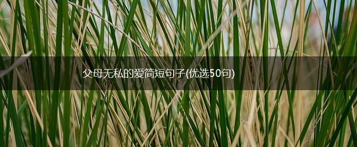 父母无私的爱简短句子(优选50句),第1张
