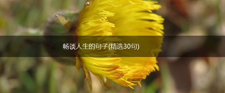 畅谈人生的句子(精选30句),第1张
