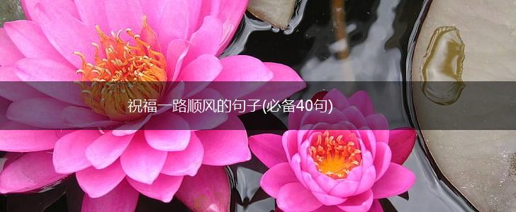 祝福一路顺风的句子(必备40句),第1张