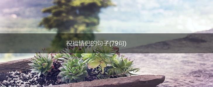 祝福情侣的句子(79句),第1张