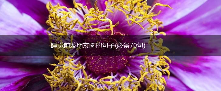 睡觉前发朋友圈的句子(必备70句),第1张 睡觉前发朋友圈的句子(必备70句),第1张