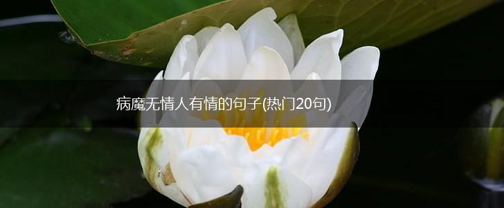 病魔无情人有情的句子(热门20句),第1张