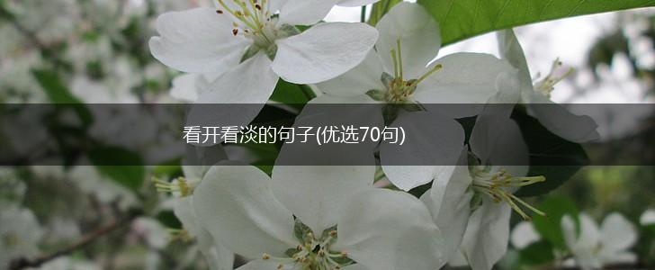 看开看淡的句子(优选70句),第1张