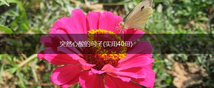 突然心酸的句子(实用40句),第1张