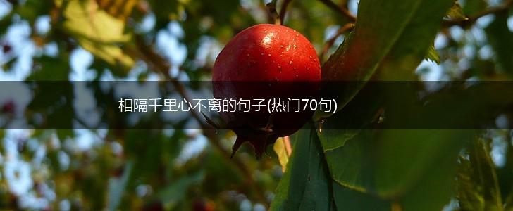 相隔千里心不离的句子(热门70句),第1张