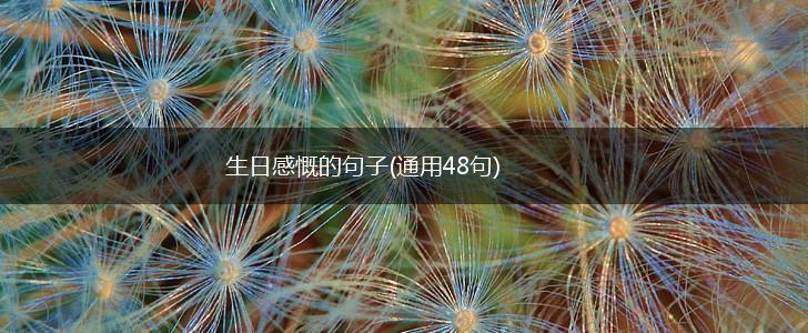 生日感慨的句子(通用48句),第1张